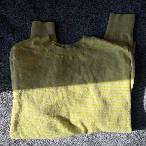 Everlane The Organic Cotton Crewneck Striped Sweater - Picture 10 of 11